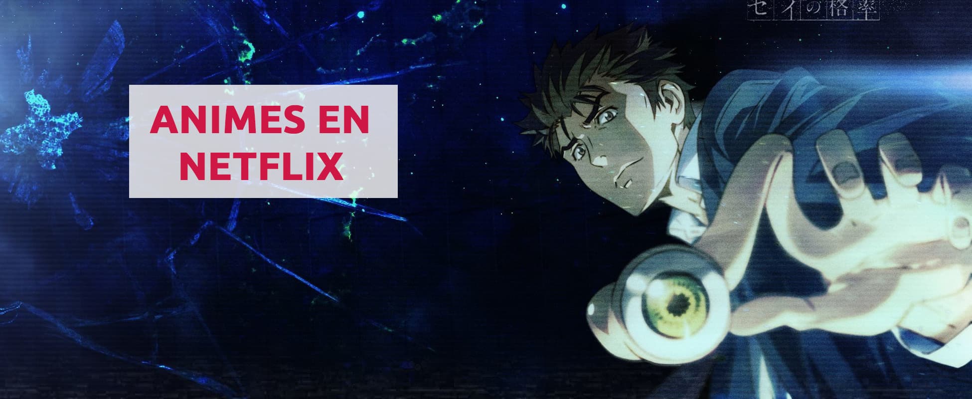 Animes en Netflix