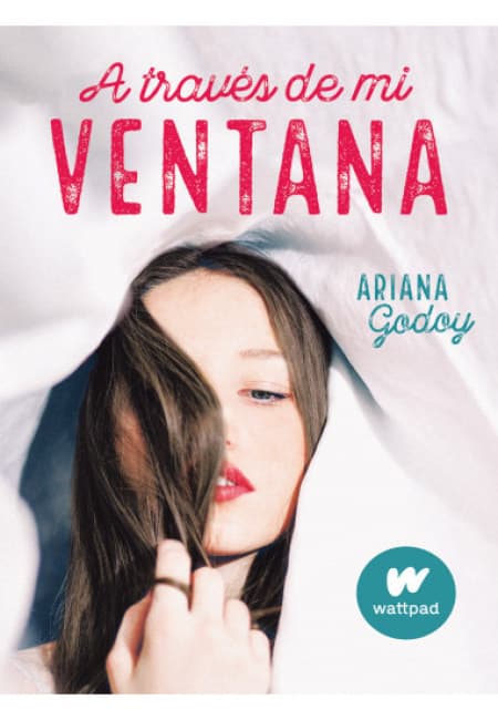 A Través De Mi Ventana  [Alfaguara Infantil J]