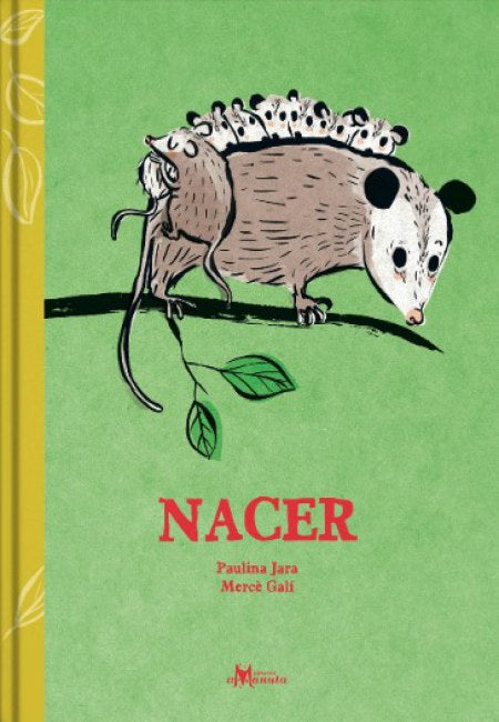 Nacer [Amanuta]