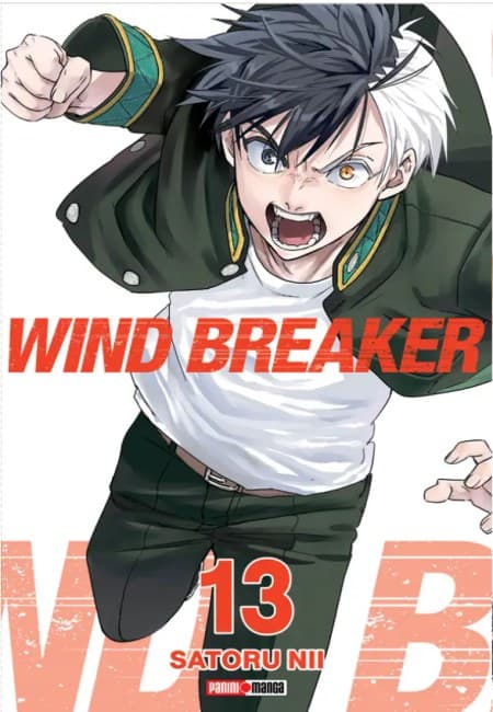 Wind Breaker 13 - México