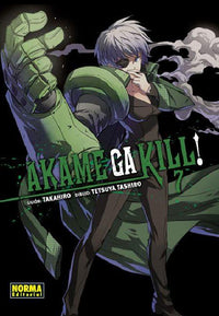 Thumbnail for Akame Ga Kill! 07