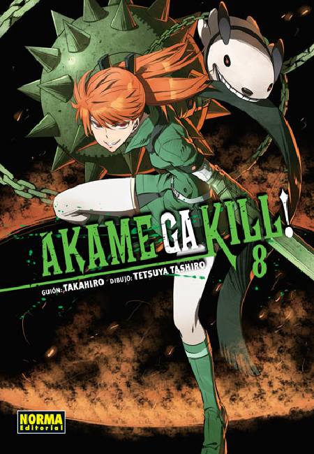 Akame Ga Kill! 08