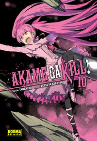 Thumbnail for Akame Ga Kill! 10