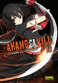 Thumbnail for Akame Ga Kill! 13
