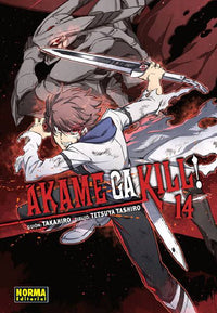 Thumbnail for Akame Ga Kill! 14