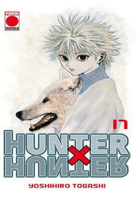 Thumbnail for Hunter x Hunter 17