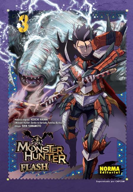 Monster Hunter - Flash! 03