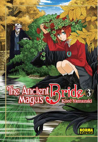 Thumbnail for The Ancient Magus Bride 03